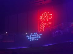 -赤红音乐现场(浦东金桥路店)