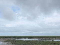 -北海金海湾红树林生态旅游区