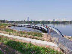 -海珠湖公园