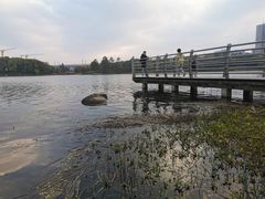 -美兰湖景区