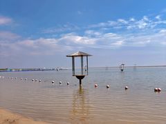 -碧海金沙