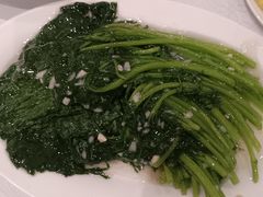 清炒茼蒿-弘雅饭店