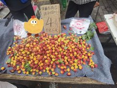 -东仓门早市