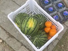-西郊国际农产品交易中心