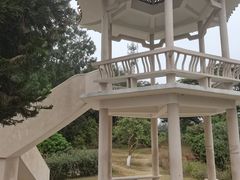 -东莞植物园
