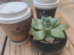 -Peet's 皮爷咖啡(陆家嘴中心店)
