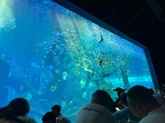 -哈尔滨波塞冬海底世界