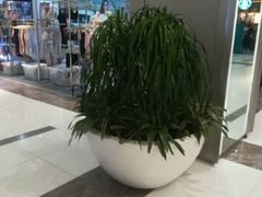 店内环境-远洋未来广场(育慧北路店)