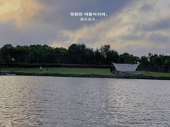 -春花秋色城市公园