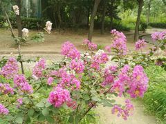 -回龙观体育文化公园