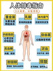 -香薇妮丝女子减肥院