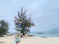 -花海间·即刻露营