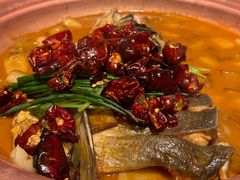-柿合缘新京菜(国金中心商场店)