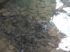 -关西瀑布