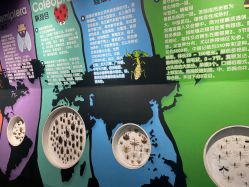 -七巧国萌宠乐园(龙湖天街店)
