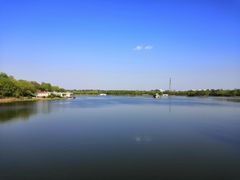 -大兴滨河森林公园