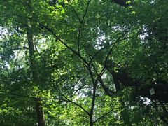 -杭州半山国家森林公园