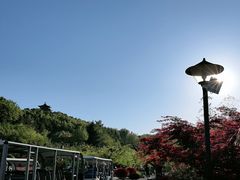 -《神游传奇》秀