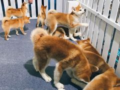 -东浩兰生上海世博展览馆