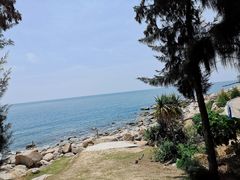 -广东惠东海龟国家级自然保护区