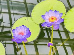 -国家植物园南园