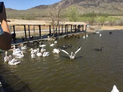-新疆天山野生动物园