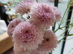 -听雨小筑茶舍(观音桥·龙湖新壹街店)