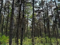 -长春净月潭风景名胜区