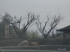 -宜兴富陶温泉