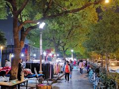 -南湖公园地摊集市