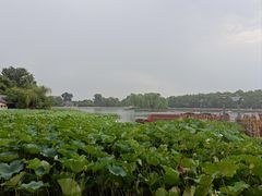-同和居(什刹海店)