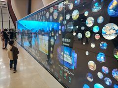 -贝林大翅鲸简餐厅(国家海洋博物馆店)