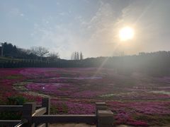 -棒棰岛宾馆景区