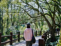 -普陀山风景名胜区-法雨禅寺