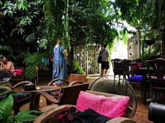 -Fern Forest Cafe