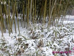 -紫竹院公园冰场