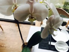 -若蘭慈·无国界素食料理(欢乐海岸店)