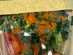 -油梨树AVOCADO TREE(嘉里中心店)