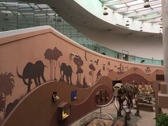 -陕西自然博物馆