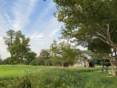 -汉长安城未央宫国家考古遗址公园