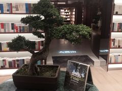 -二酉书店TOYOU BOOKS