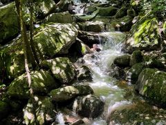 -青峰峡国家森林公园