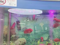 -雅悦齿科(顾村公园店)