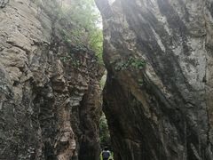 -快活林烧烤(红新路店)