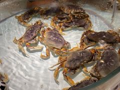 -万龙洲海鲜(大兴绿地缤纷城店)