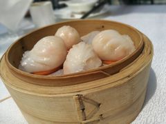 -西苑半岛·中餐厅