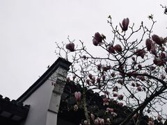 -杭州雅谷泉山庄酒店-餐厅