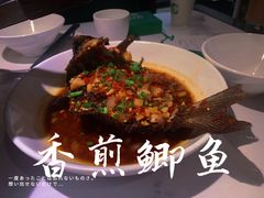 -费大厨辣椒炒肉(高铁吾悦广场店)