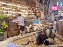 -同仁四季椰子鸡(宝安壹方城店)