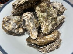 -杨氏青龙虾·羊蝎子(托乐嘉店)